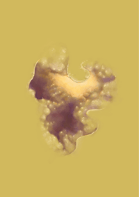 Image 1 of Geodescape