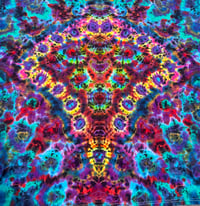 Image 3 of 4XL Kenneystyle 