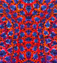 Image 3 of 6XL kenneystyle