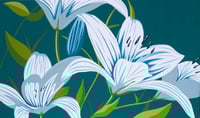 Image 1 of "Lillies" by James Wolanin