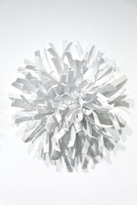 "Anemones #3 (White)" by Matt Devine