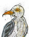 Steve McCracken Sid "Seagull" Limited Edition Giclee Print