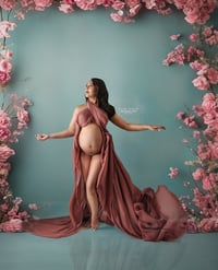 Image 1 of Belly to Baby Classic Balance