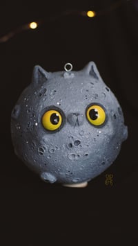 Image 3 of Big Cat Moon 