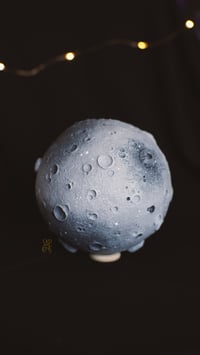 Image 3 of Big Naive Moon