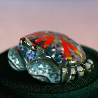 Image 1 of Teal  Garden Crab