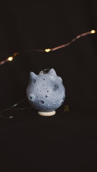 Image 3 of Small Cat Moon