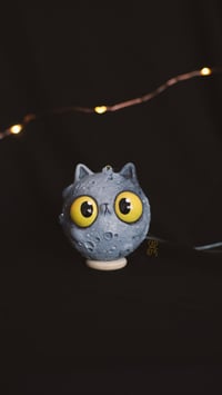 Image 4 of Small Cat Moon