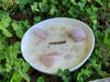 Sweet Pea and Hibiscus candle