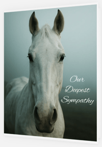 Image 1 of White Horse (cards & envelopes) min order 50 cards