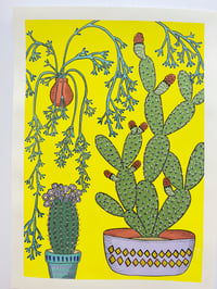 PRINT : Marrakesh Morroco