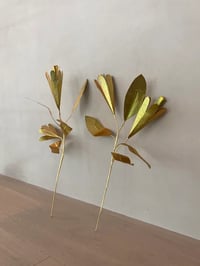 Image 5 of SILVER & GOLD Papers for making Flowers