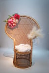 NEW ITEM! Peacock Chair