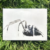 Image 1 of Phantom Limbs Print