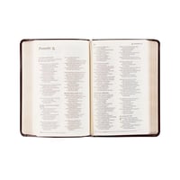 Image 2 of NLT Mini Bible: Yorkshire Theme 📚