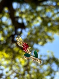 La Rosa de Guadalupe 