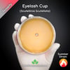 Eyelash Cup (Scutellinia Scutellata) Live Mycelium Mushroom Culture Spawn Seed