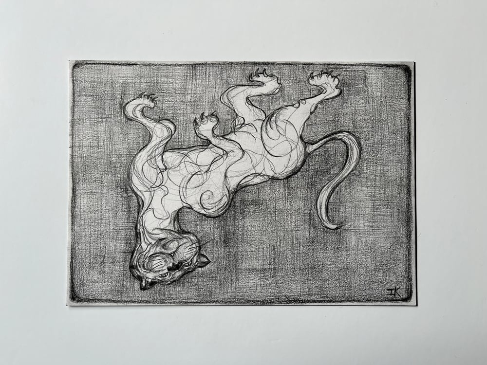 9 lives. No.1