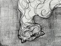 Image 3 of 9 lives. No.1