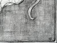 Image 5 of 9 lives. No.1