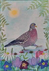 Spring Pigeon.