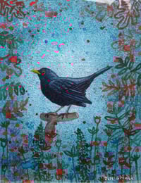 Image 1 of Blackbird