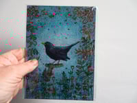 Image 2 of Blackbird