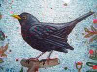 Image 3 of Blackbird