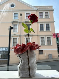 Image 2 of ‘I Miss You, I Love You, and Other Tender Things That Flowers Say’