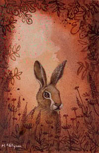 Hare