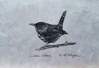 Image 1 of Little Wren