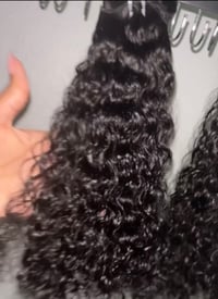 Image 2 of Burmese Curly 