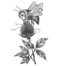Image 2 of Lady Moth