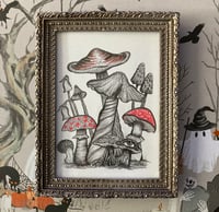 Image 1 of Fantastical Fungi