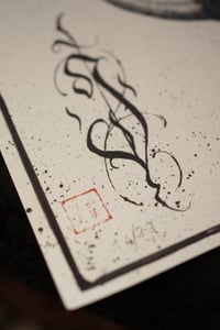 Image 3 of Raven leg study