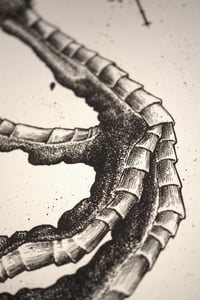 Image 2 of Raven leg study