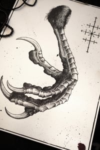 Image 1 of Raven leg study