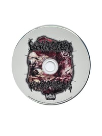Image 3 of BODILY STEW/HEMATOESPERMIA SPLIT CD