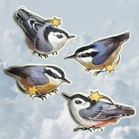 Image 2 of starry nuthatches sticker sheet