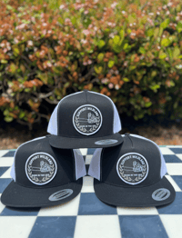 Image 2 of SUPPORT WILDLAND Patched Snapback