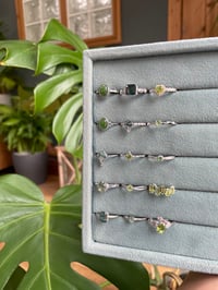 Image 6 of Mossy Garden Rings