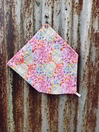 Hollie Neck Scarve