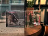 EP CD