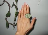 Image 3 of lay Down ur Spiral Shield
