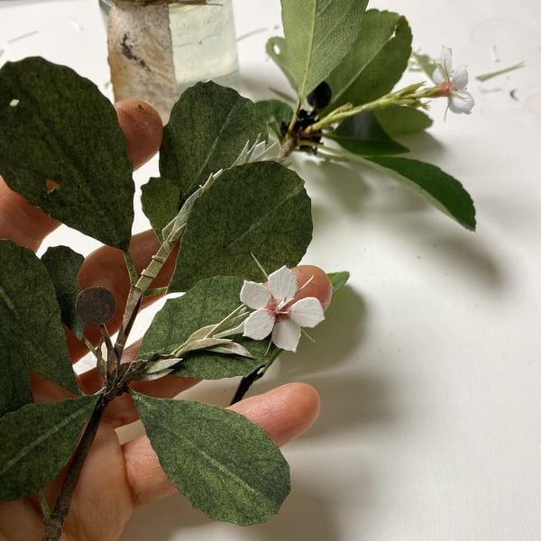 Image of SUNDAY Art Workshop, 11 MAY - 'BUSH FLOWERS'
