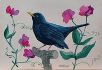 Image 1 of Blackbird and Sweetpeas