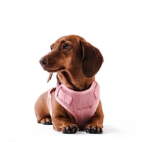 Image 1 of MILANO CORDUROY HARNESS - DUSTY PINK