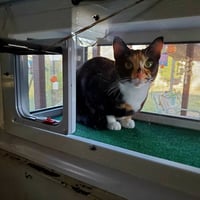 Image 2 of 18 inch Deluxe KP Cat Window Patio-Catio-Solarium (Small deluxe model)