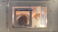Image 3 of 18 inch Deluxe KP Cat Window Patio-Catio-Solarium (Small deluxe model)