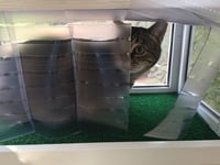 Image 3 of 18 inch Regular KP Cat Window Patio-Catio-Solarium (Small model)